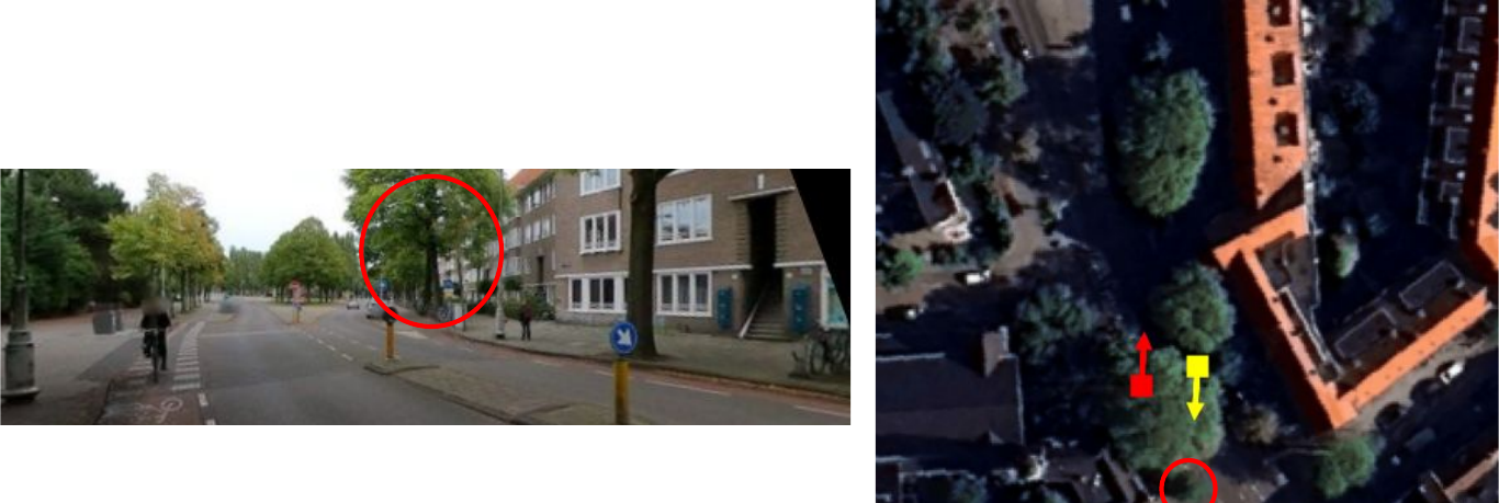 Satellite-view road occluded by tree canopy